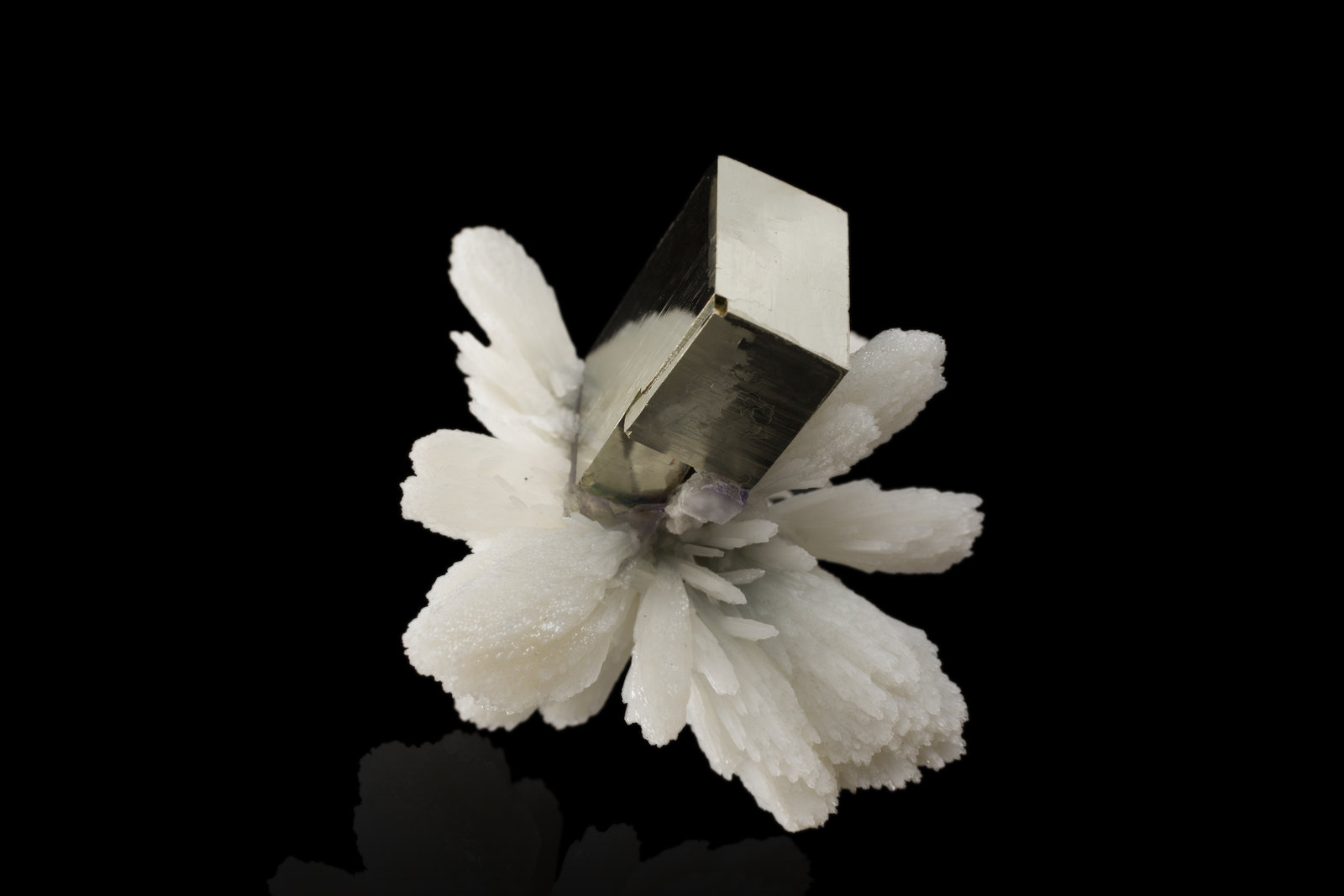 Pyrite on Quartz
7,0	x	7,0	x	6,0	cm
(Autor: MIM Museum)