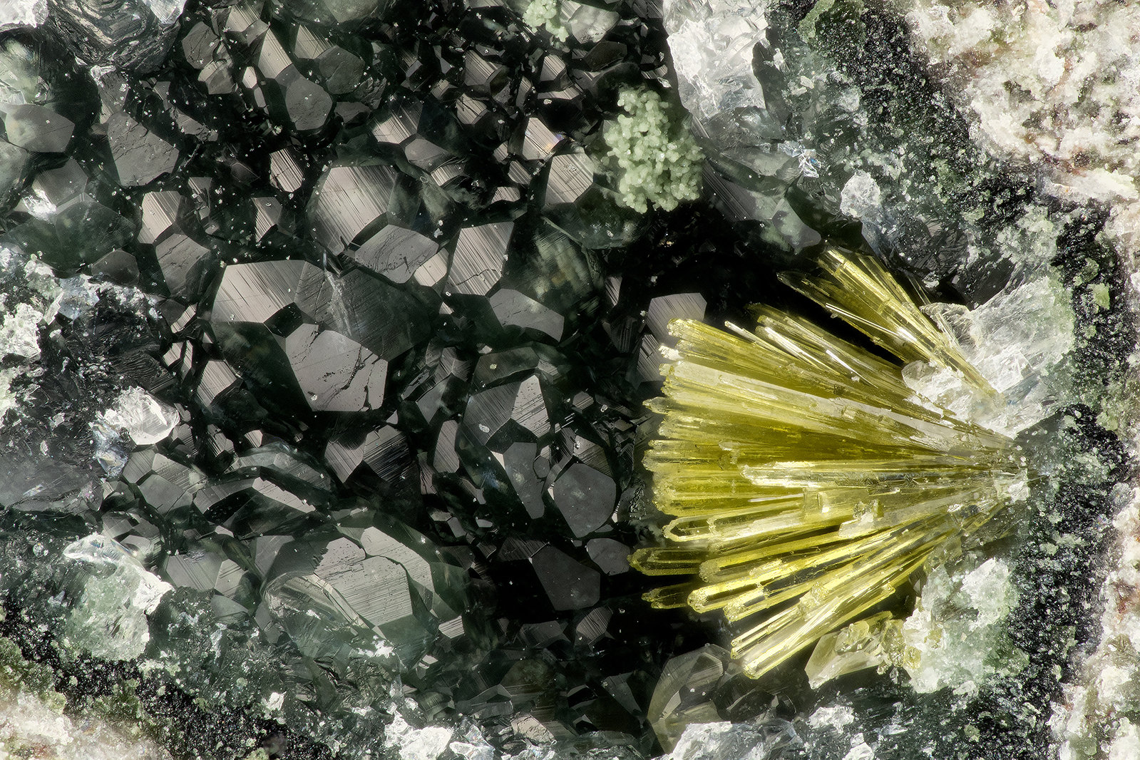 Epidote, Calcite
FOV = 2.9
(Autor: Doug)