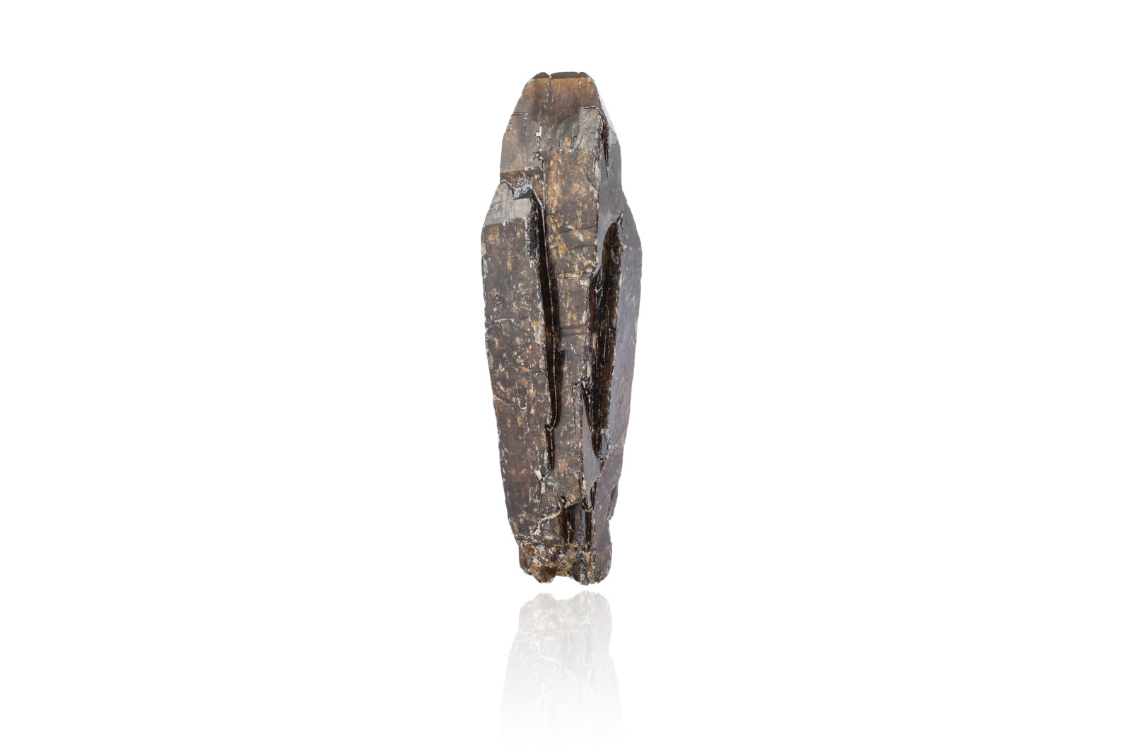 Xenotime (Series)
1,5	x	1,5	x	6,5	cm
(Autor: MIM Museum)