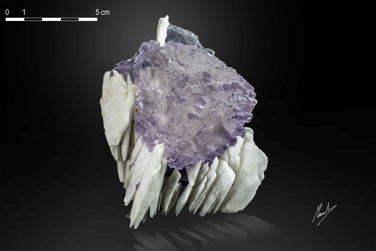 Fluorite on Barite
87 X 55 mm
(Autor: Manuel Mesa)