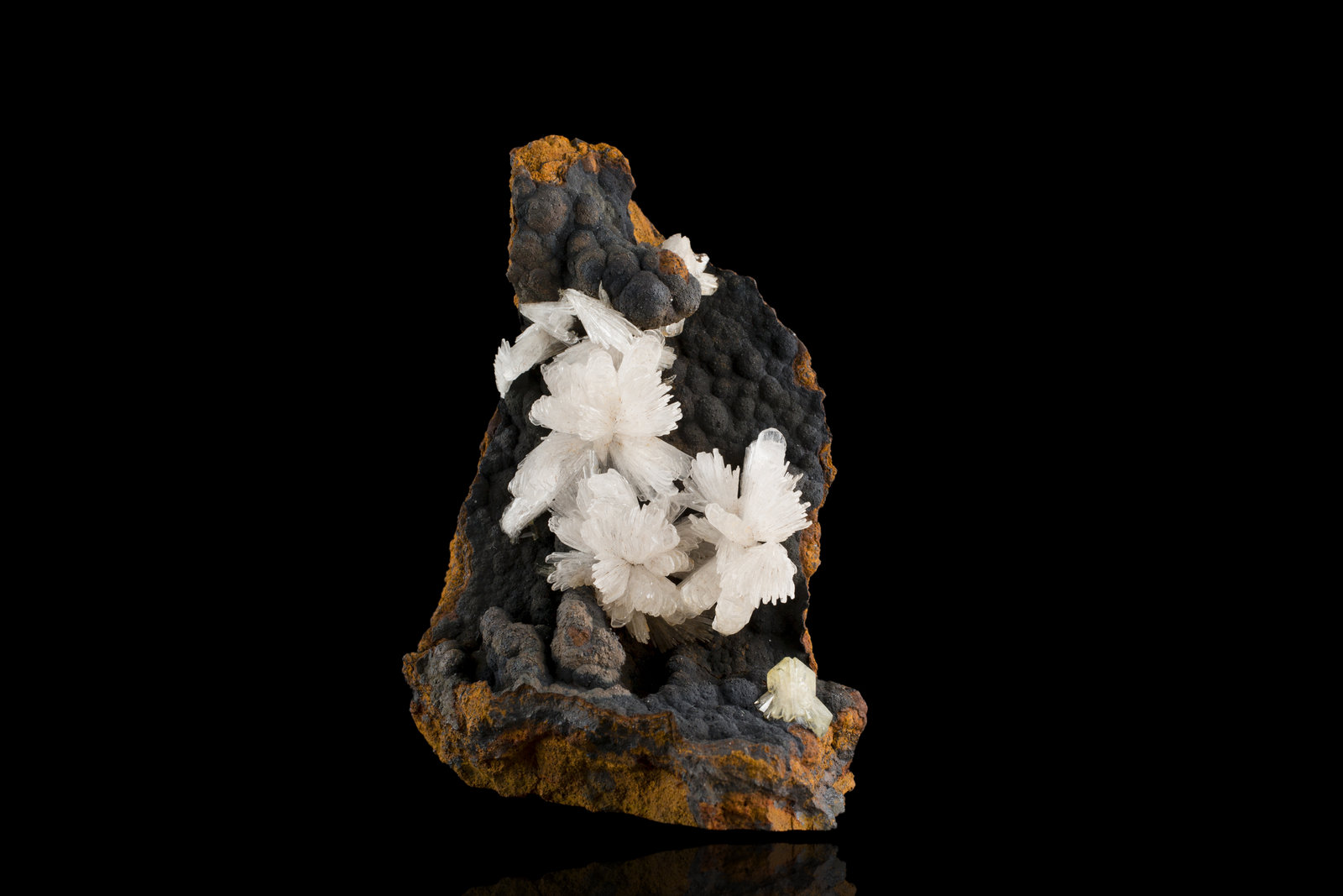 Hemimorphite on Goethite and limonite
7,0	x	7,0	x	9,0	cm
(Autor: MIM Museum)