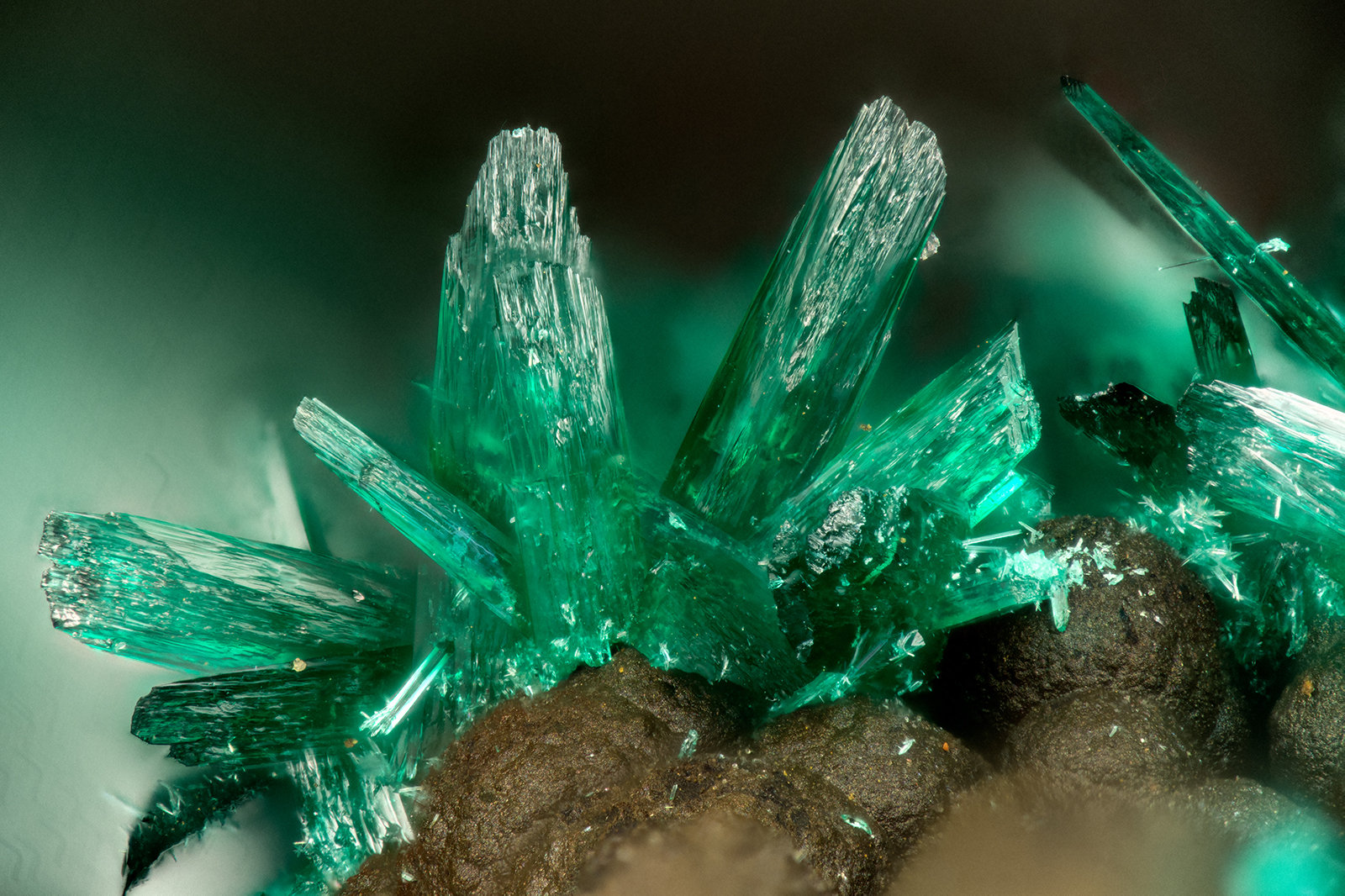 Brochantite
FOV = 1.8 mm
(Autor: Doug)