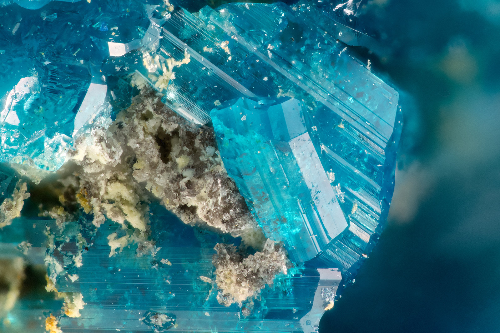 Caledonite
FOV = 2.8 mm
(Autor: Doug)