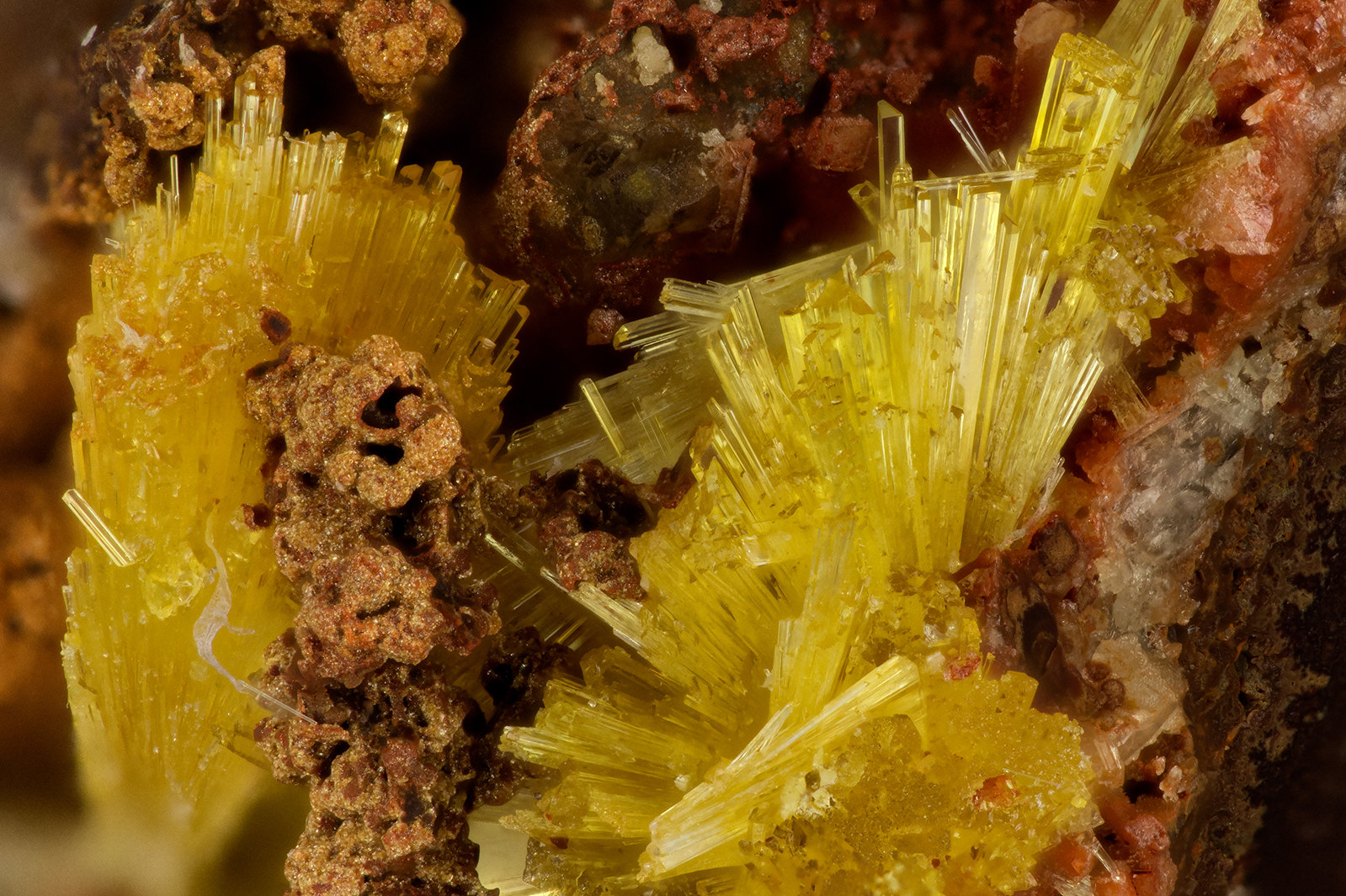 Legrandite
FOV = 2.7
(Autor: Doug)