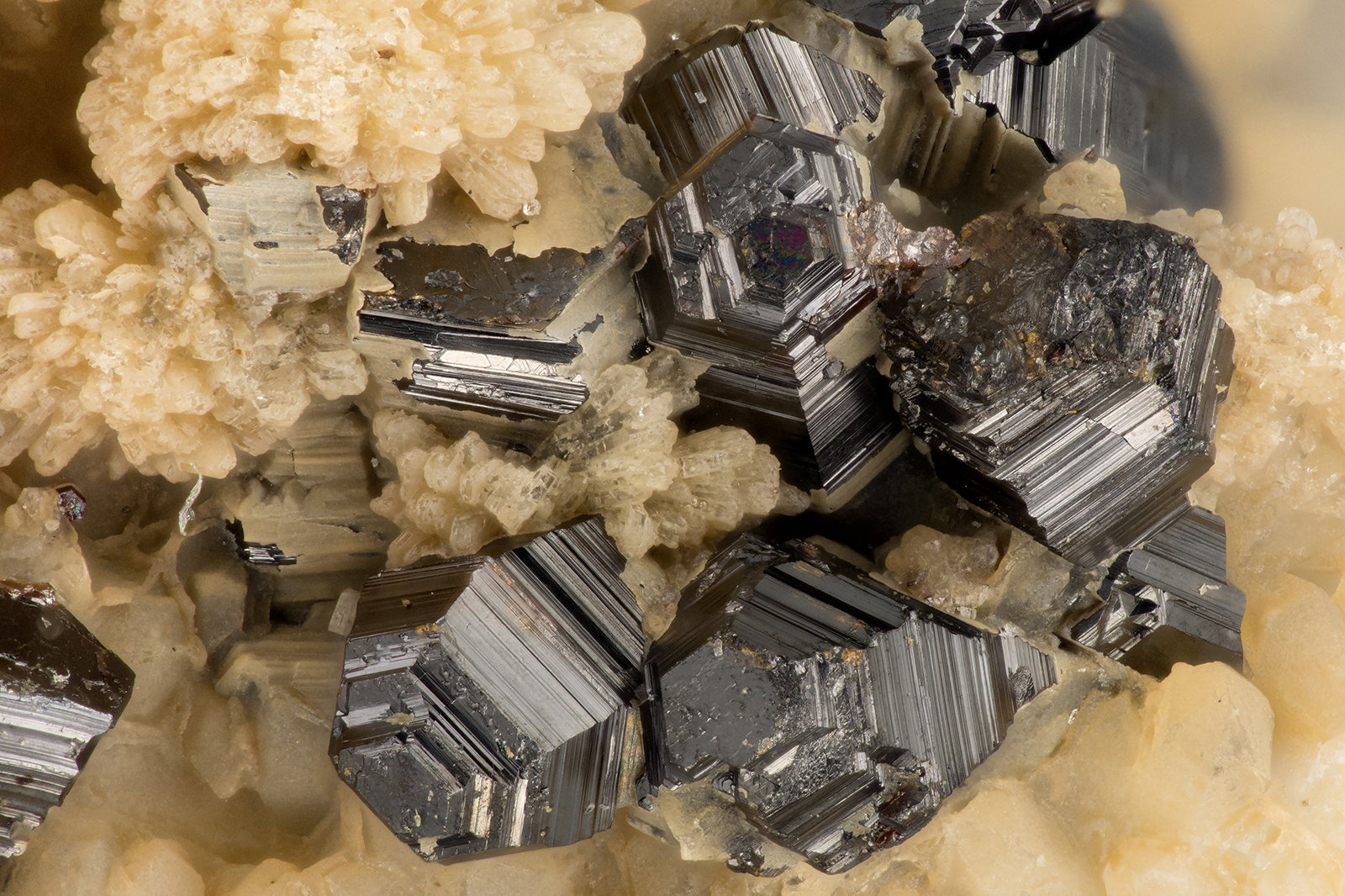 Sphalerite
FOV = 3.2 mm
(Autor: Doug)