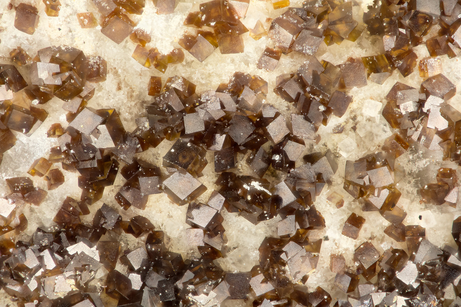 Siderite
FOV = 1.8 mm
(Autor: Doug)