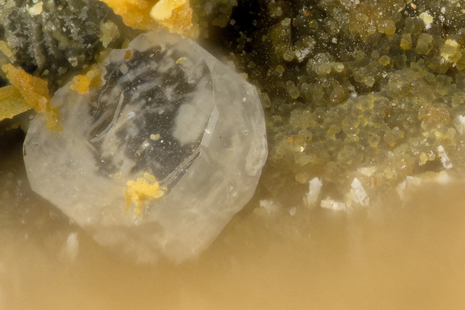 Phosgenite
FOV = 0.4 mm
(Autor: Doug)