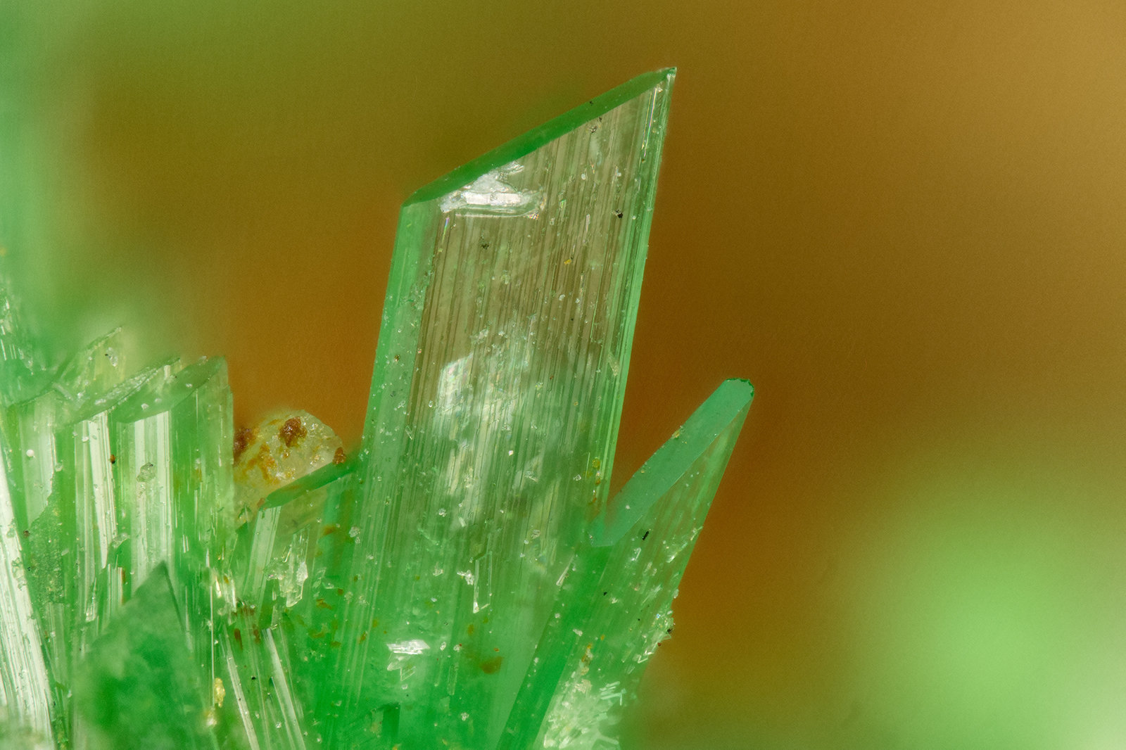 Annabergite
FOV = 1.5 mm
(Autor: Doug)