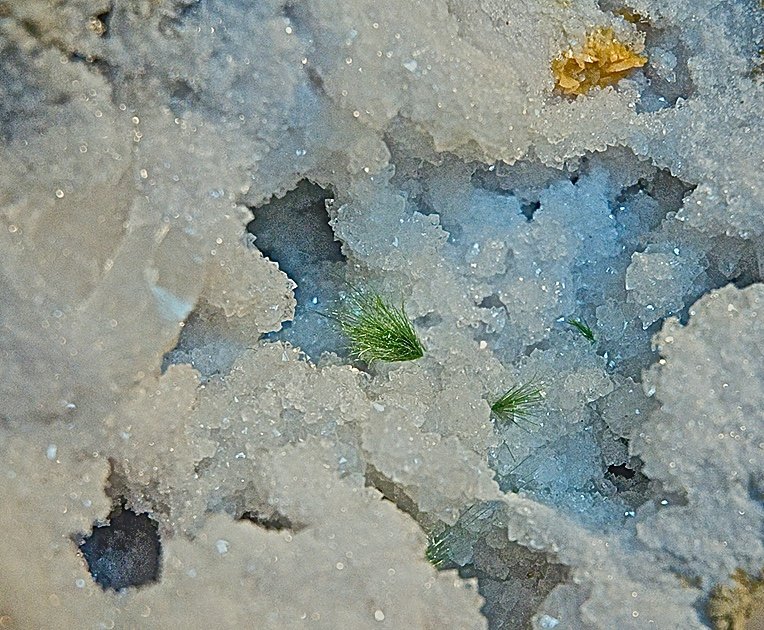Honnessite?
geode is 15 cm; the largest spray ( best seen peeking out at the bottom center) is 3 cm
(Autor: Bob Harman)