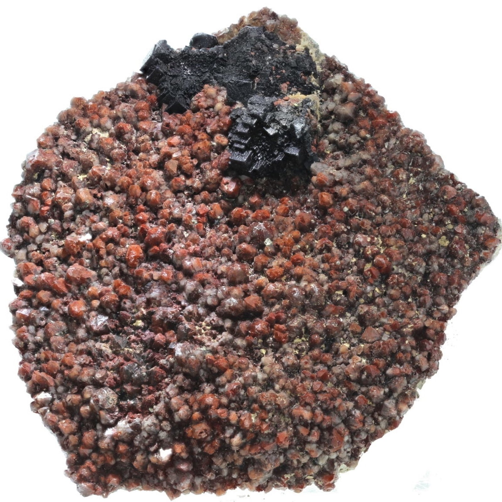 Fluorite and Quartz (variety eisenkiesel)
55x48x13
(Autor: david916)