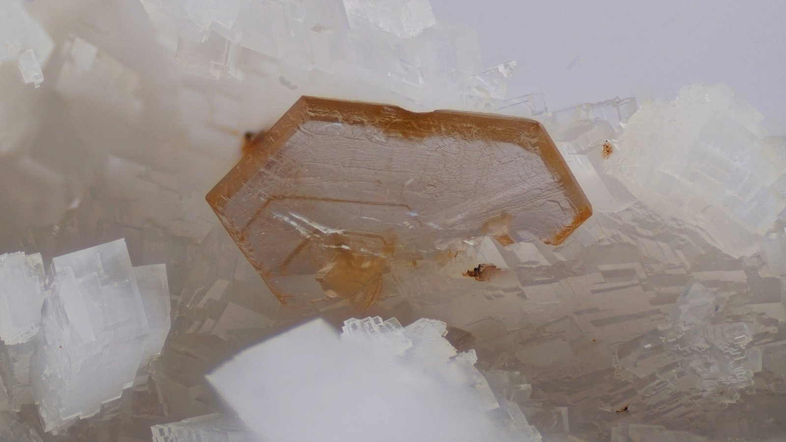 Hydroxylbastnäsite-(Ce)
FOV 5mm
(Autor: david916)
