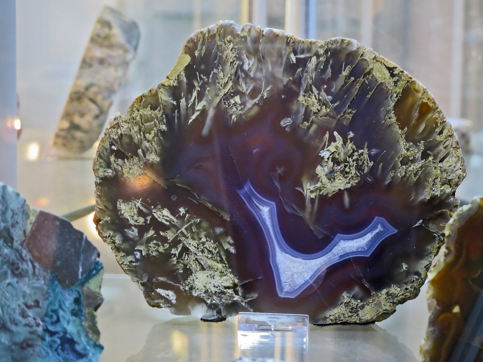 Quartz (var. agate)
H:10 cm x L 8 cm x W 2 cm
(Autor: Adrian Pripoae)