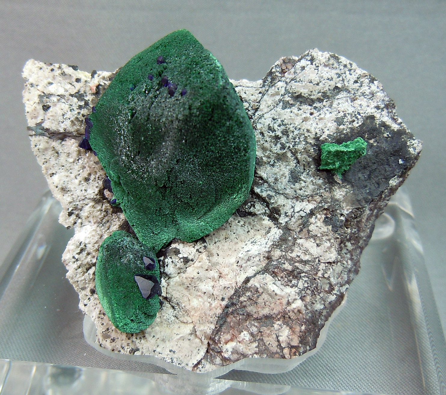 Malachite after Azurite
5.3cm x 4.5cm
(Autor: rweaver)
