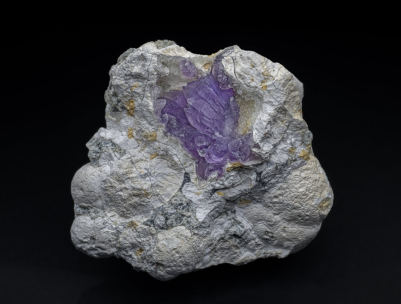 Quartz (variety amethyst)
3.5 x 3.2 cm
(Autor: am mizunaka)