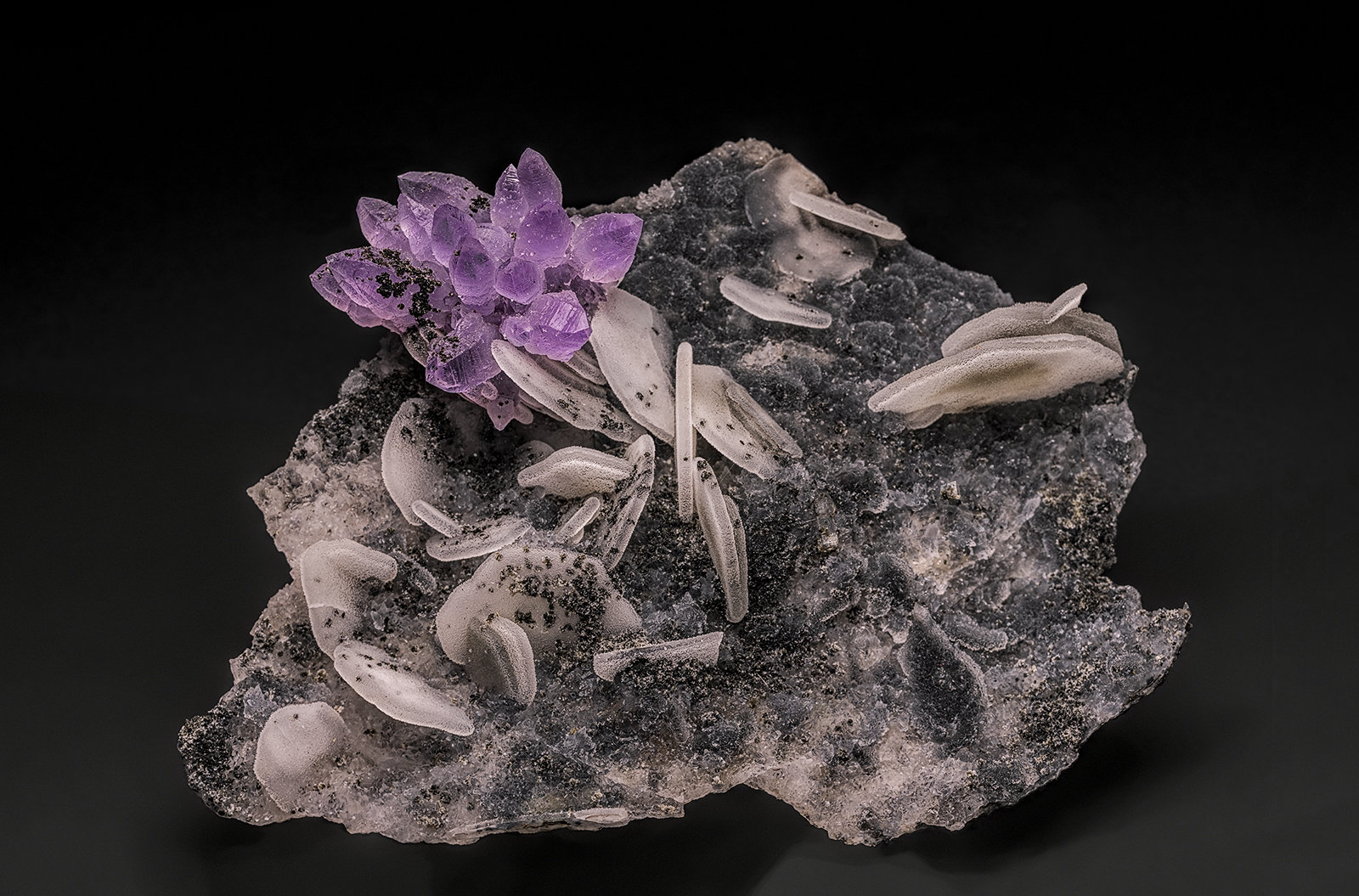 Quartz (variety amethyst), Quartz and Calcite
9.6 x 7.8 cm
(Autor: am mizunaka)