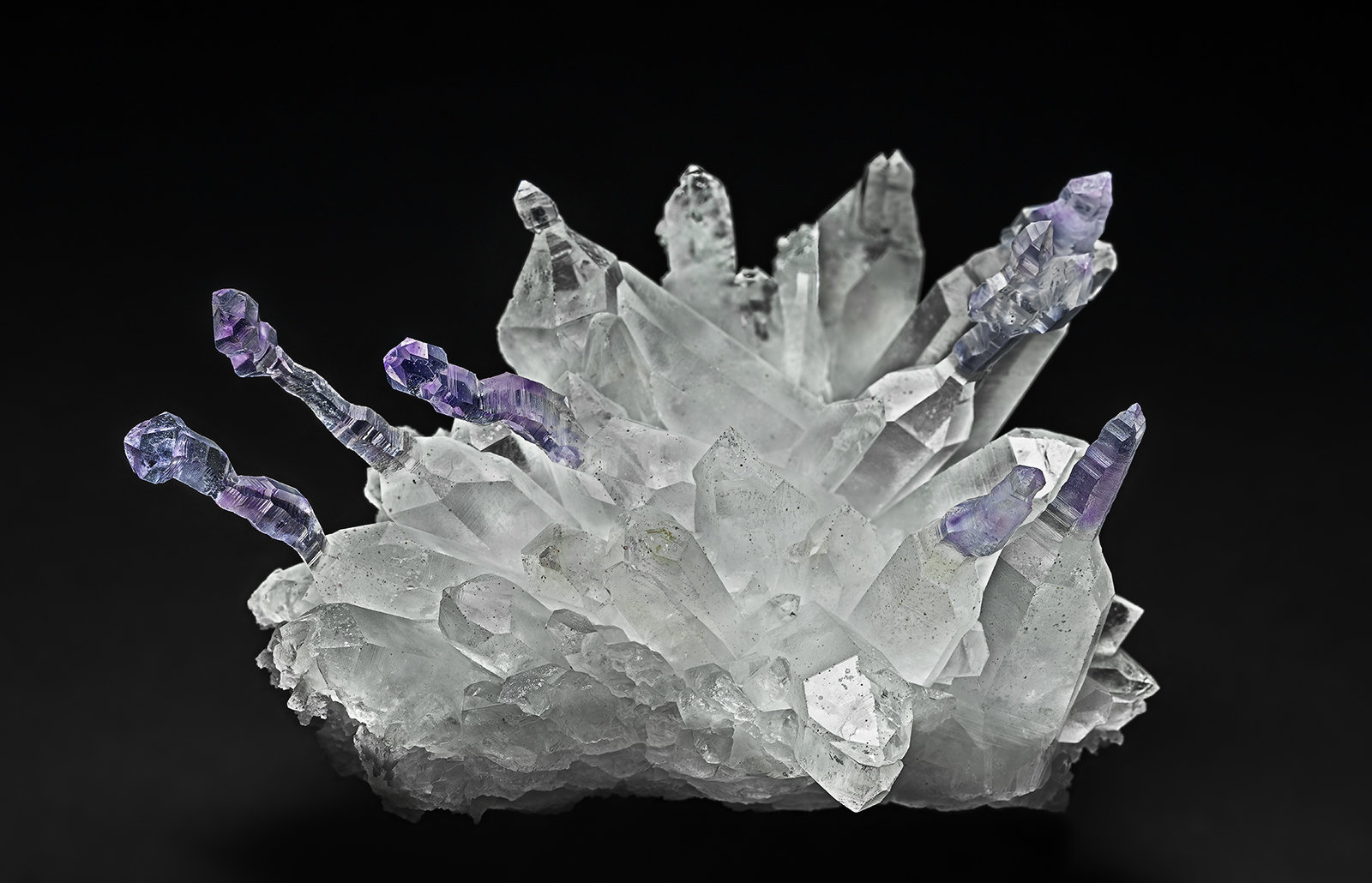 Quartz (variety amethyst)
5.0 x 4.8 cm
(Autor: am mizunaka)