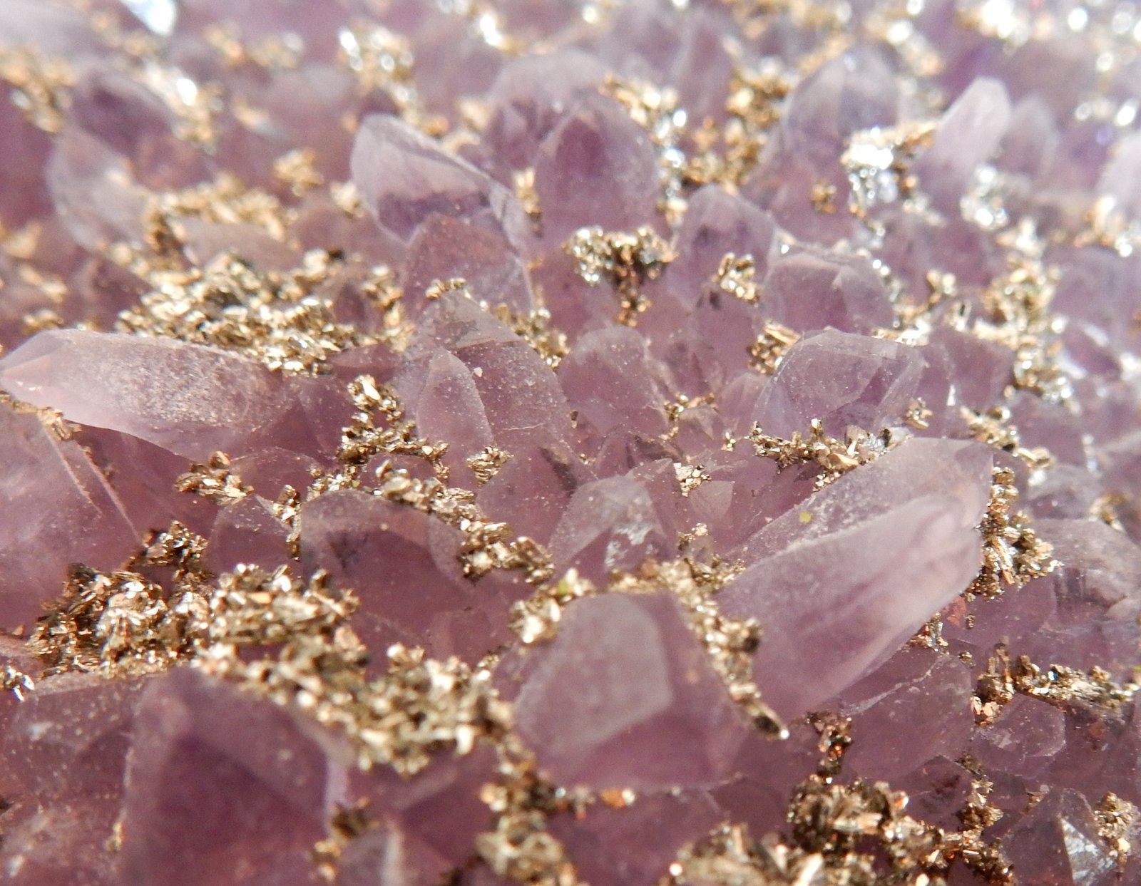 Quartz (variety amethyst) and Pyrite
100x70x20 mm
(Autor: Dany Mabillard)