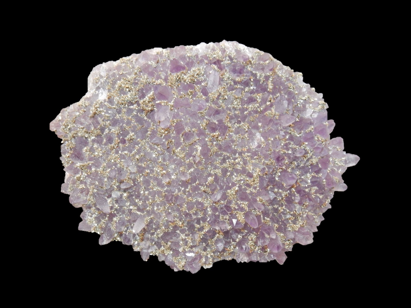 Quartz (variety amethyst) and Pyrite
100x70x20 mm
(Autor: Dany Mabillard)