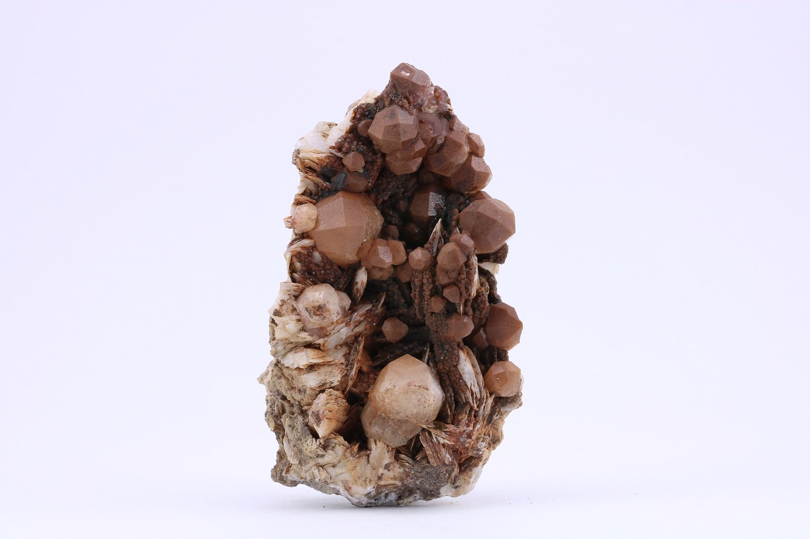 Analcime
7.5 * 4.5 cm
(Autor: Arash Ghafari)