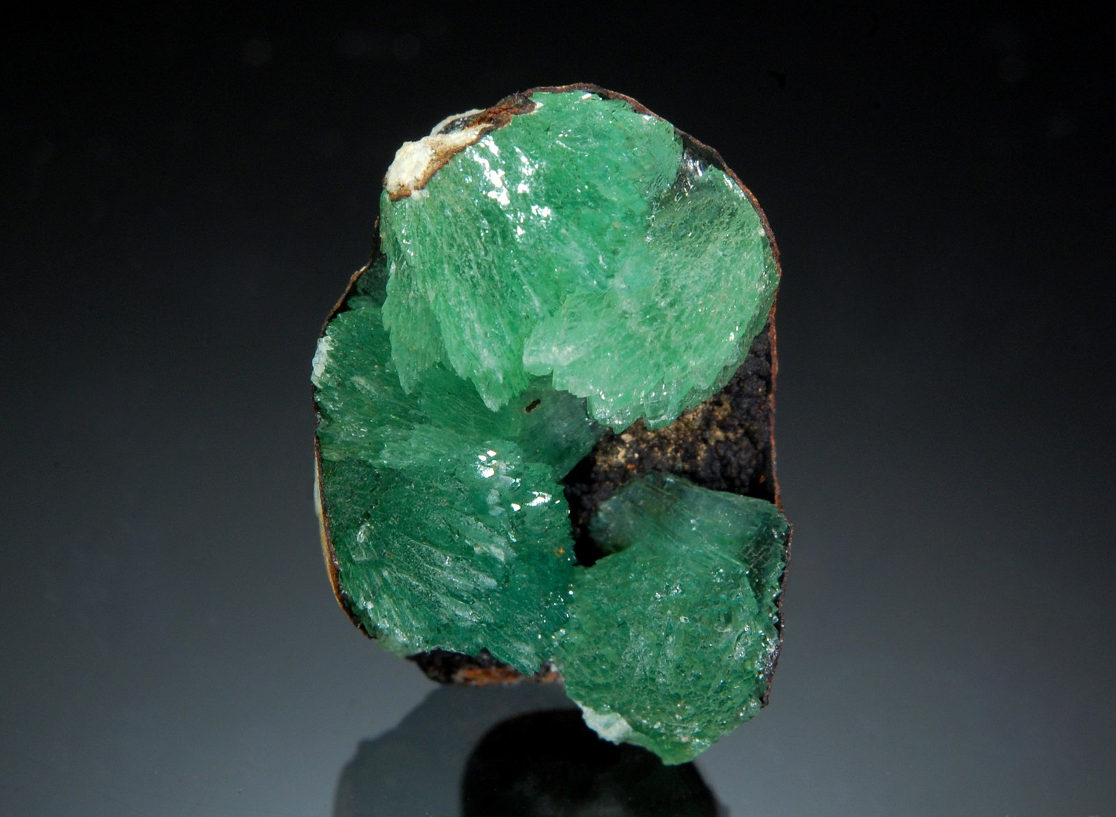 Anapaite
1.6 x 2.3 cm
(Autor: Michael Shaw)