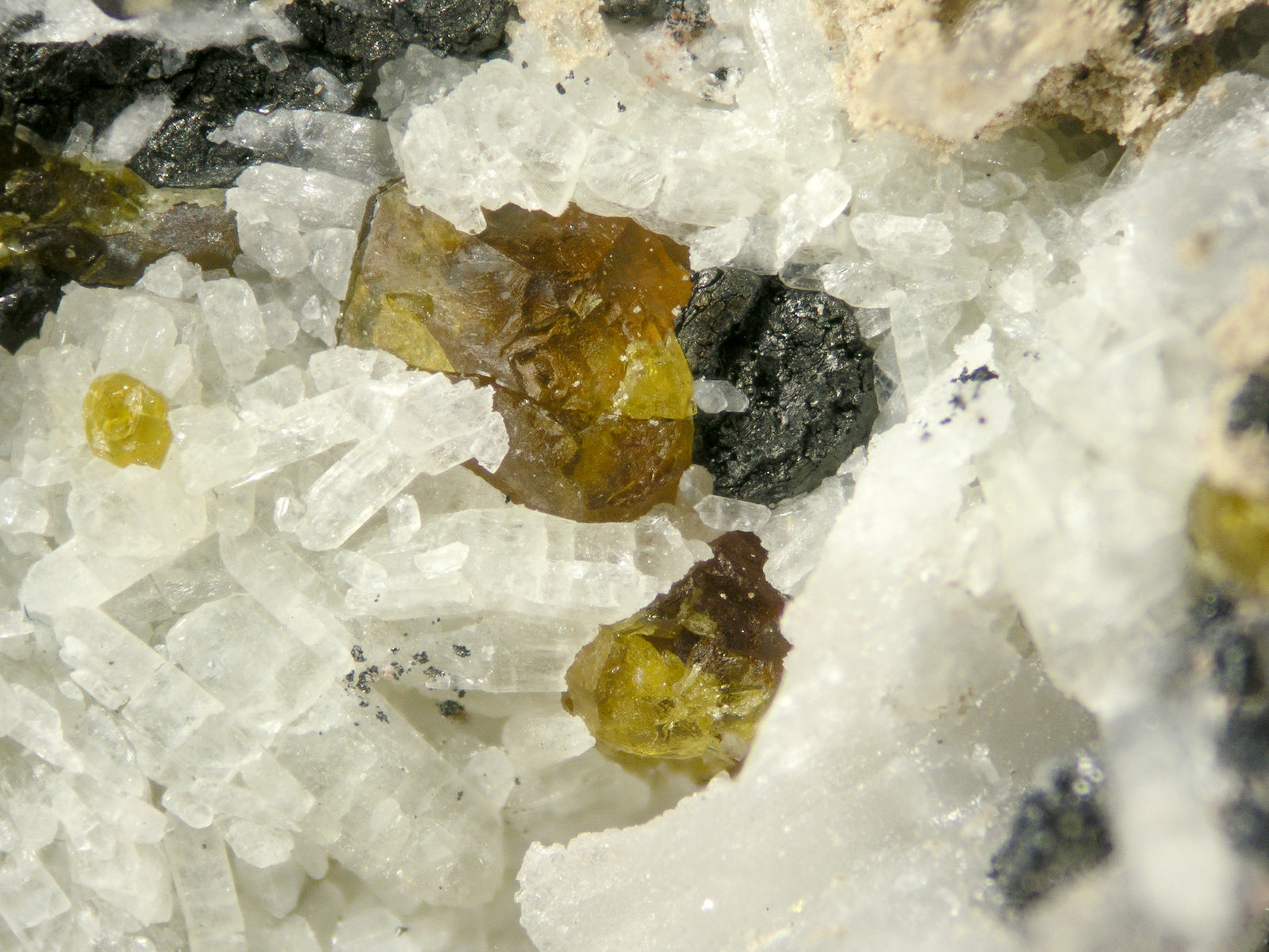 Andradite and Cuspidine
FOV 0.9 cm
(Autor: Cesar M. Salvan)