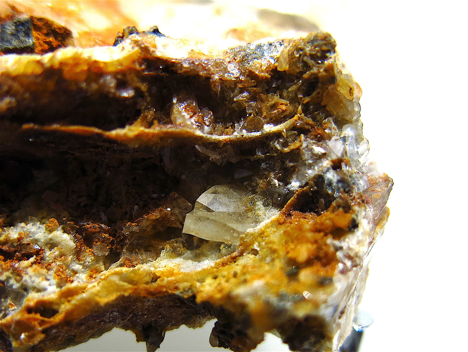 Anglesite on Baryte
crystal = 5 mm
(Autor: Jean Suffert)