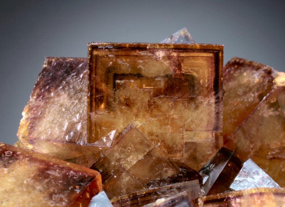 Fluorite
crystal 2 cm on edge
(Autor: Jesse Fisher)