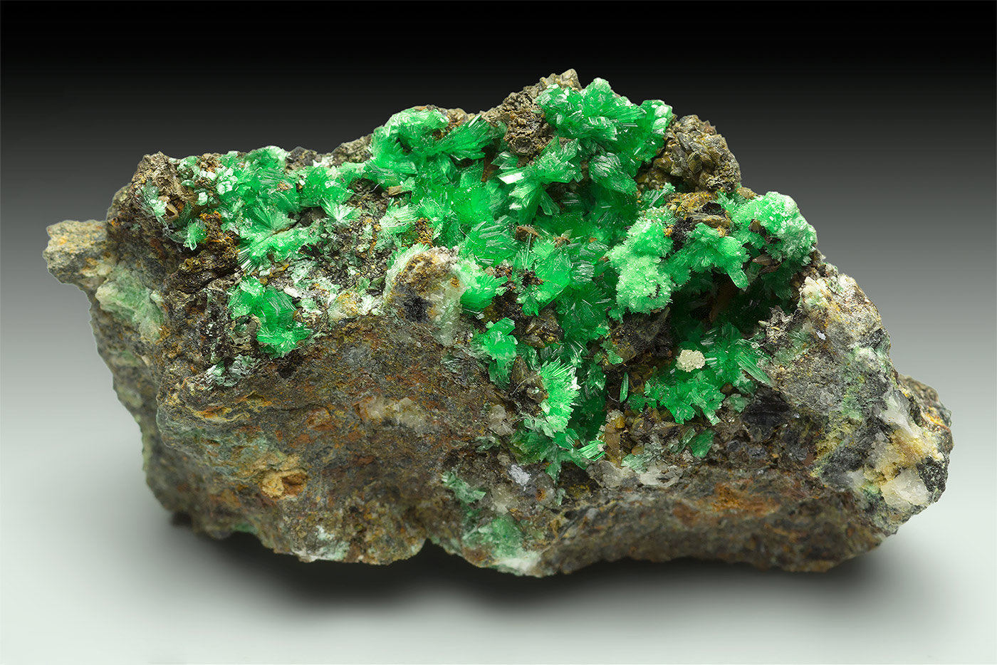 Annabergite (Mg-bearing annabergite)
4 x 2 x 2.5 cm
(Autor: xdxucn)