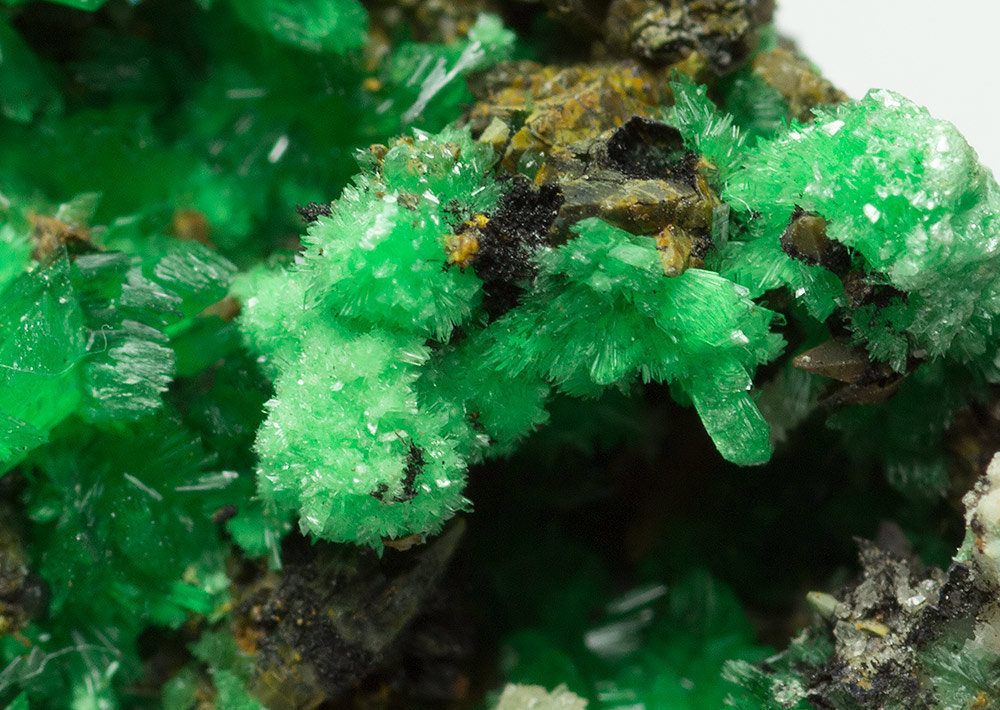 Annabergite (Mg-bearing annabergite)
4 x 2 x 2.5 cm
(Autor: xdxucn)