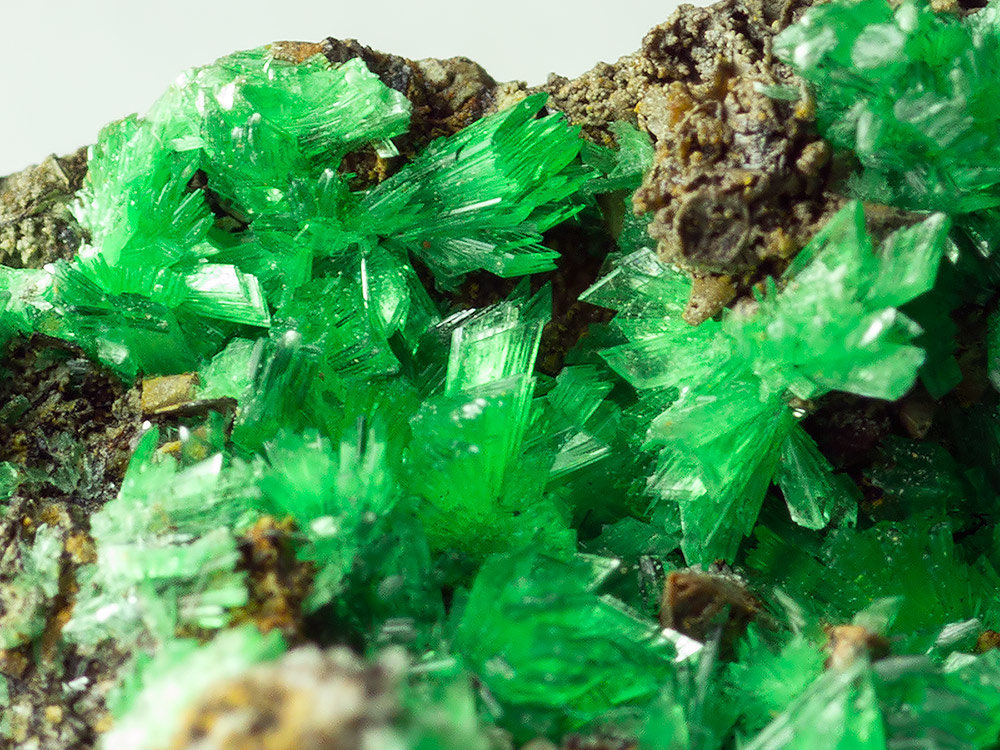 Annabergite (Mg-bearing annabergite)
4 x 2 x 2.5 cm
(Autor: xdxucn)
