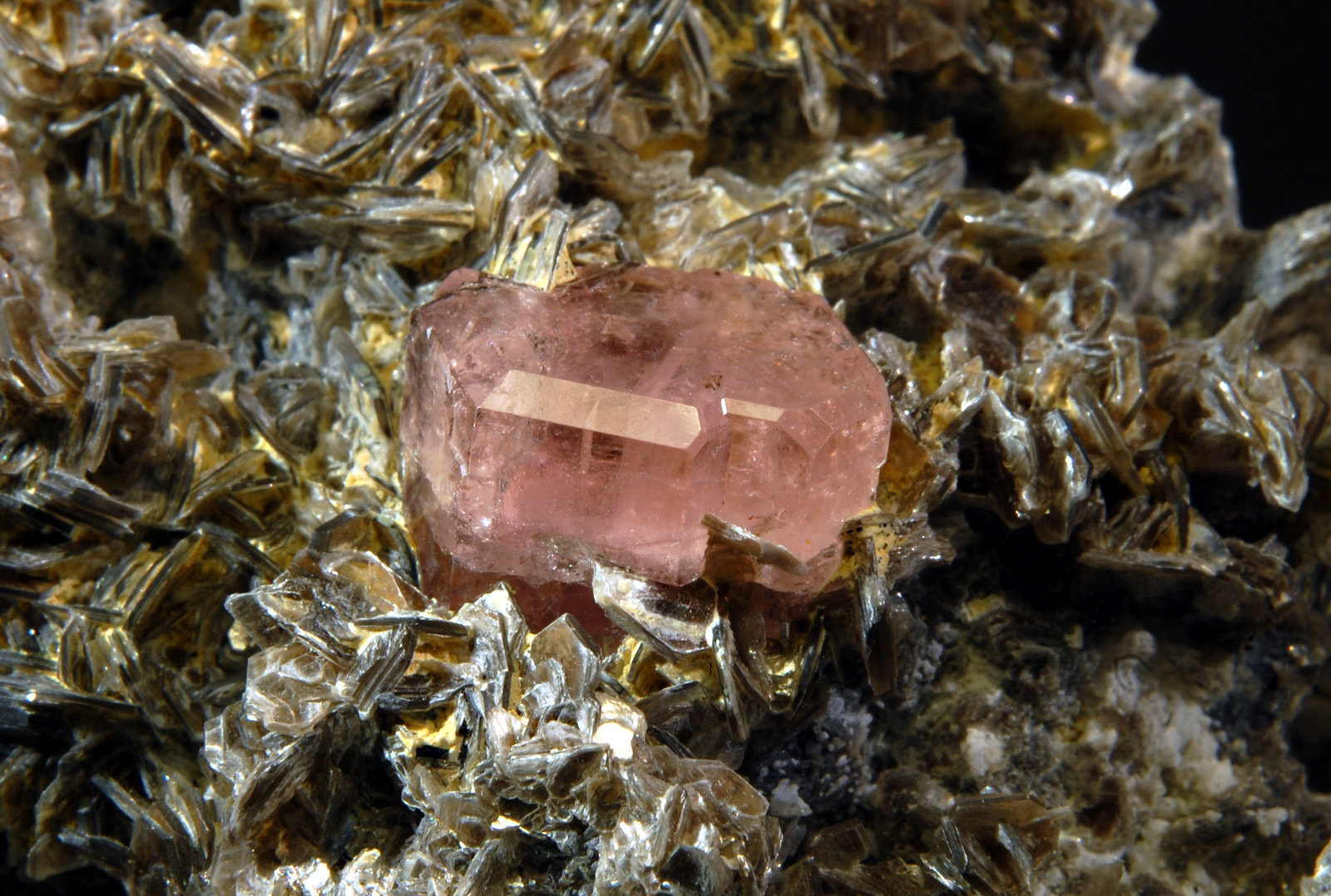 Fluorapatite (Apatite Group)
5.9 X 7.6, crystal is 1.5 cm
(Autor: Michael Shaw)