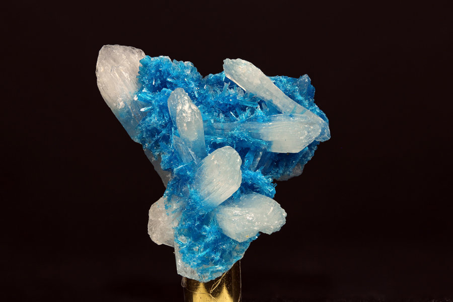 Cavansite and Stilbite
FOV of 41.80mm
(Autor: ofarcis)