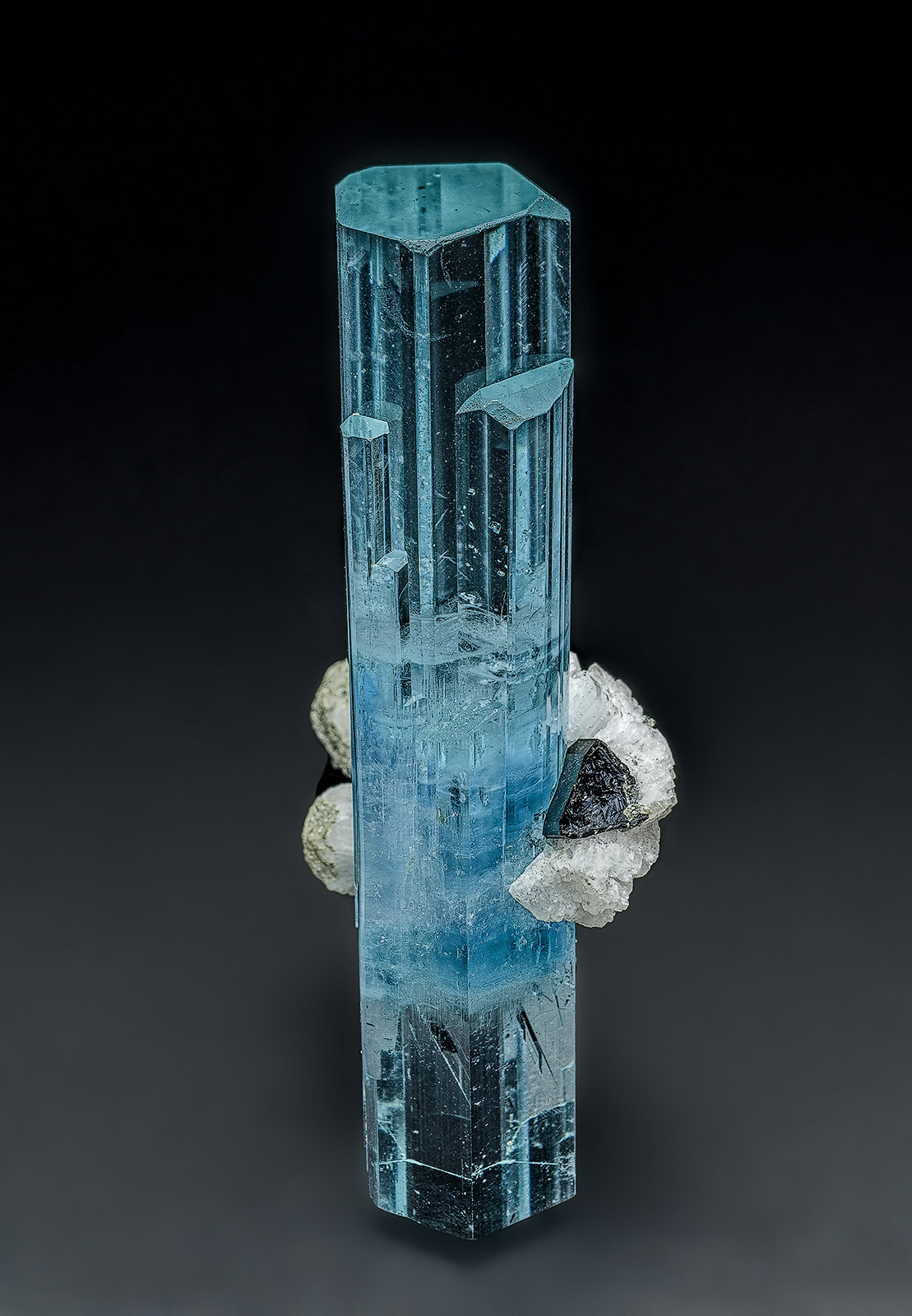 Beryl (variety aquamarine), Schorl, Albite
9.0 x 3.8 cm
(Autor: am mizunaka)