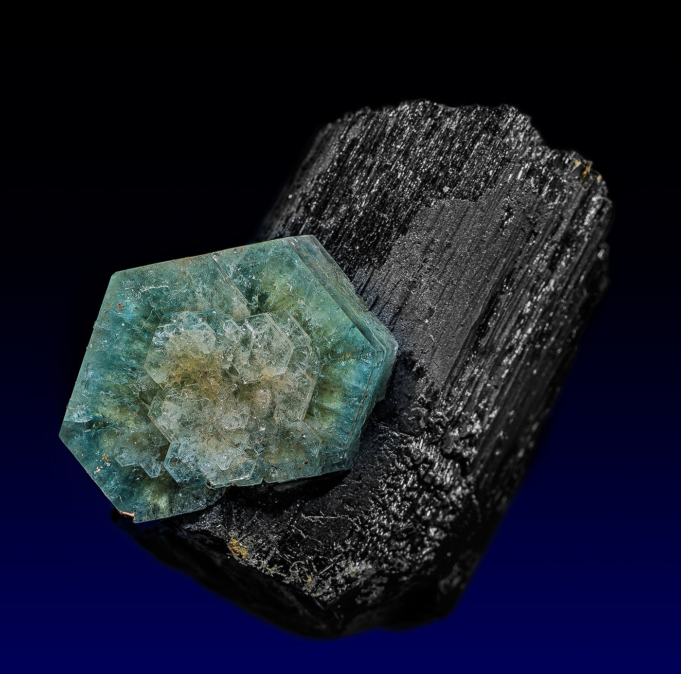 Schorl, Beryl (var. aquamarine), Opal (var. opal-AN)
3.4 x 2.8 cm
(Autor: am mizunaka)