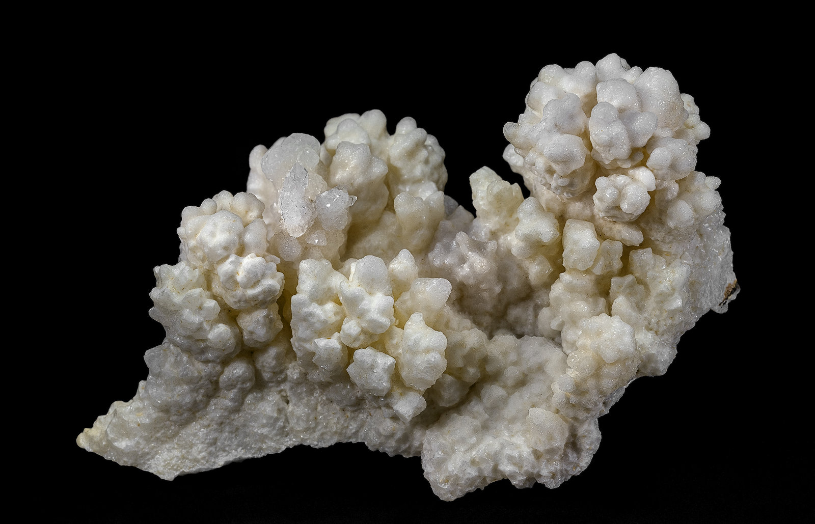 Aragonite, Calcite
10.8 x 6.4 cm
(Autor: am mizunaka)