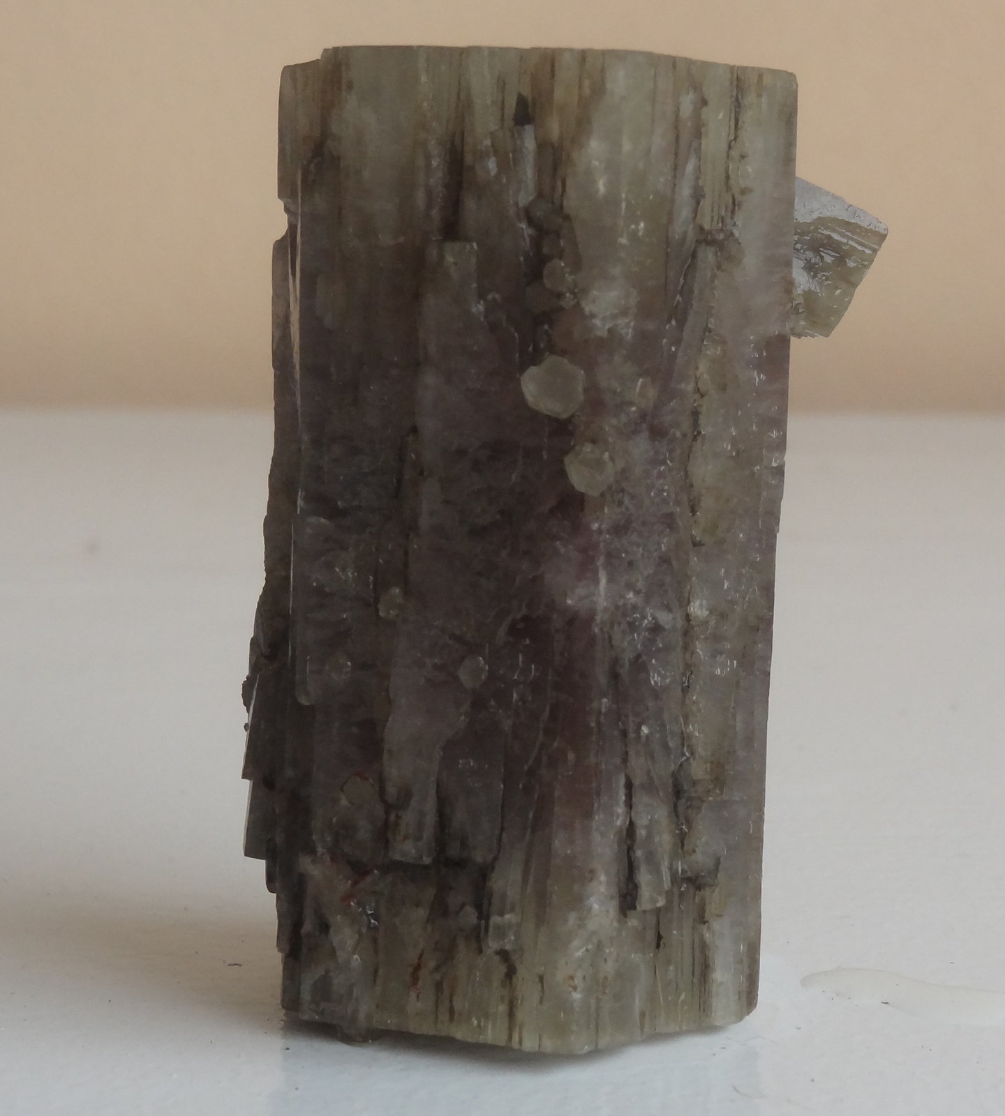 Aragonite
Height 7,5 cm Diameter 3cm
(Autor: Dave van Bladel)
