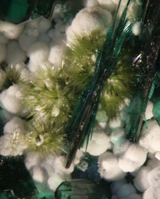 Atacamite and chrysocolla
FOV= 20 mm
(Autor: Adrian Pripoae)