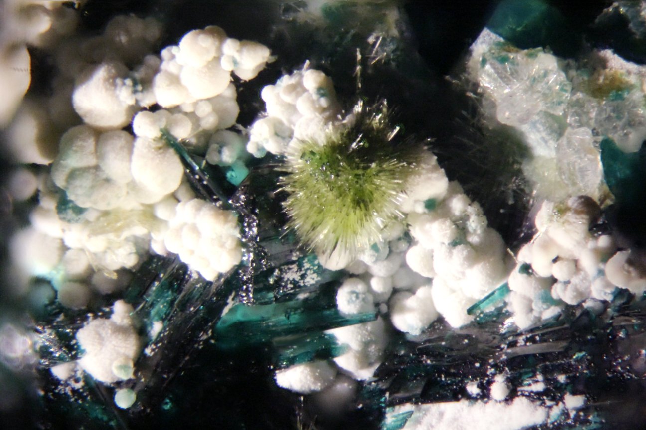 Atacamite and chrysocolla
FOV 20 mm
(Autor: Adrian Pripoae)