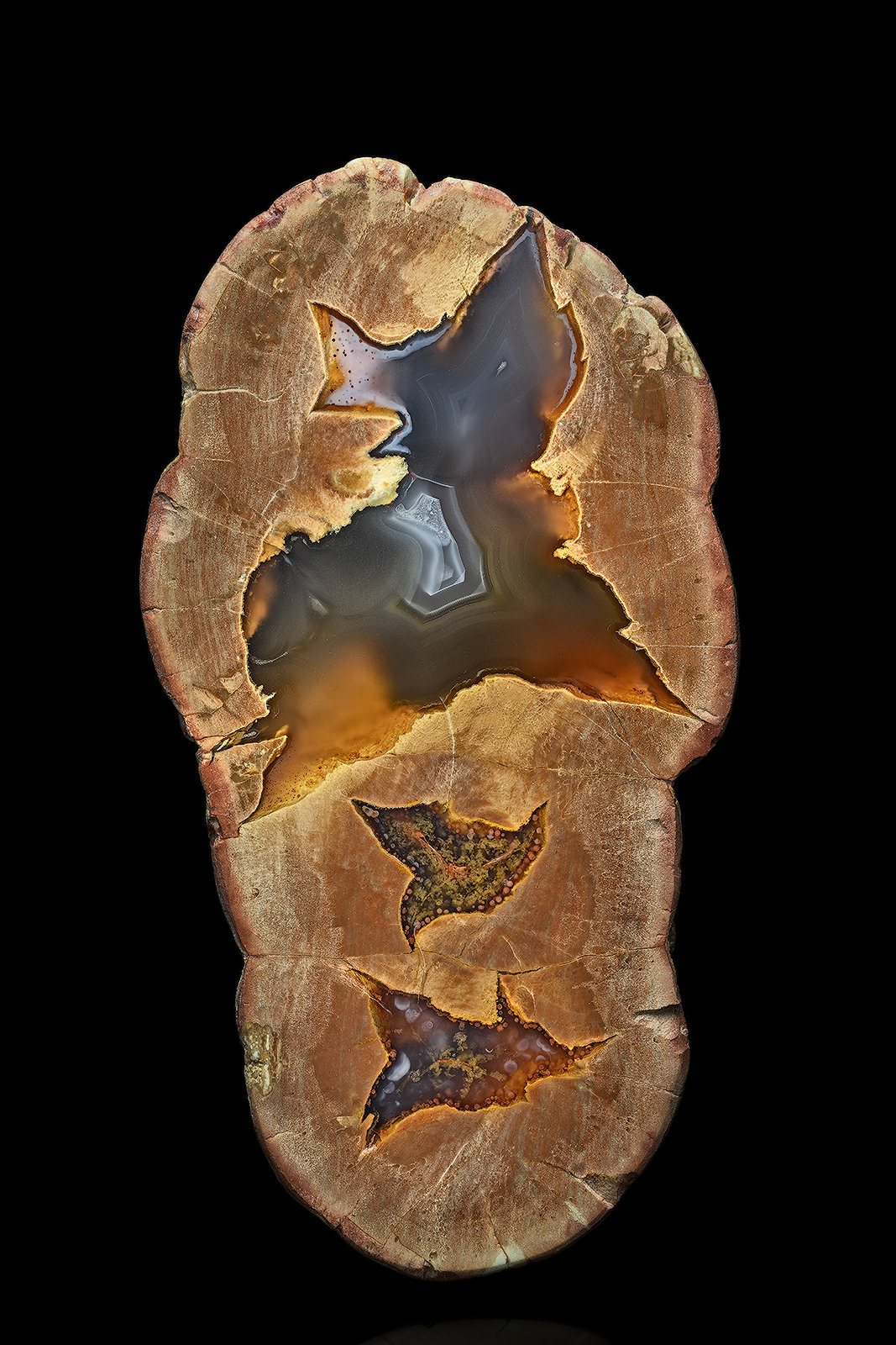 Quartz (variety agate)
15.0 x 7.8 x 3.3 cm
(Autor: am mizunaka)