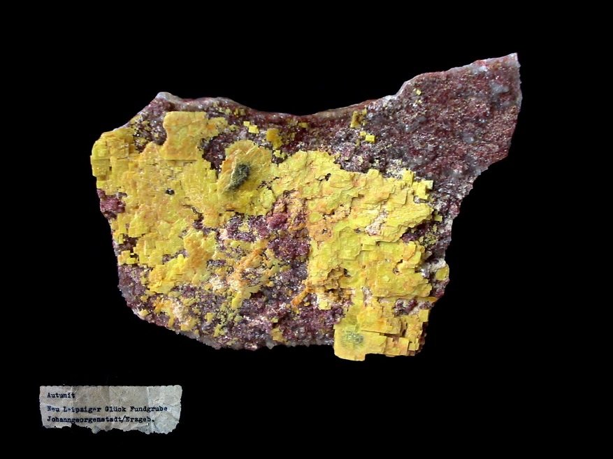 Autunite
4,5 x 3,5 cm
(Autor: Andreas Gerstenberg)