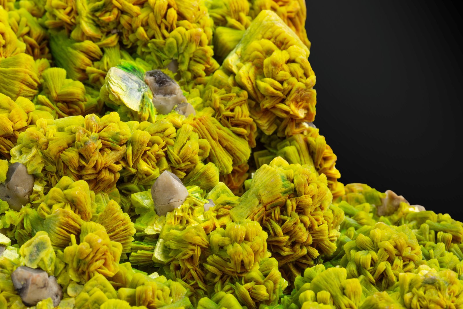 Autunite
22 x 14 x 8 cm / main crystal: 3.0 cm.
(Autor: MIM Museum)
