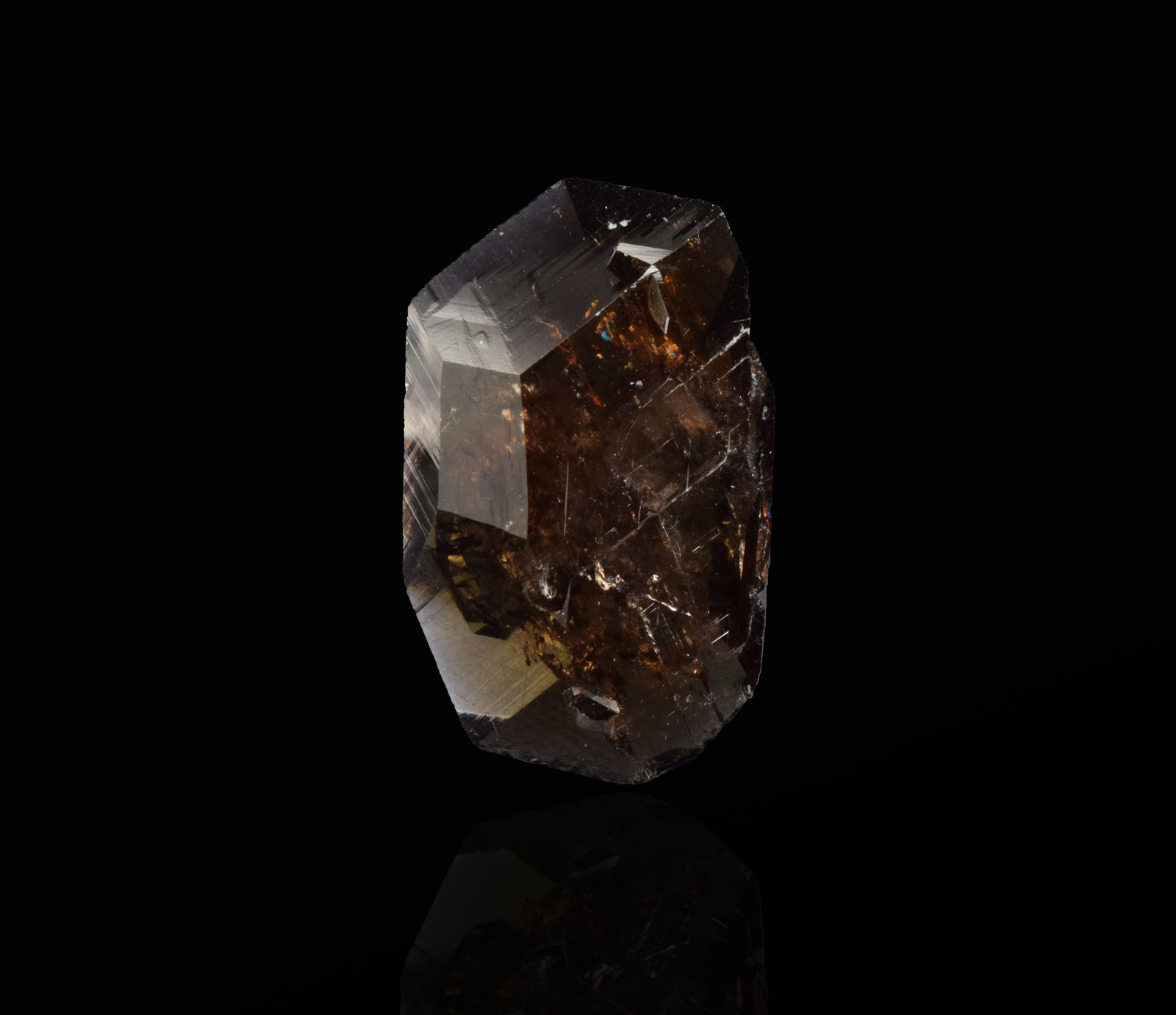 Axinite-(Fe)
3.0 cm
(Autor: dontgogreen)