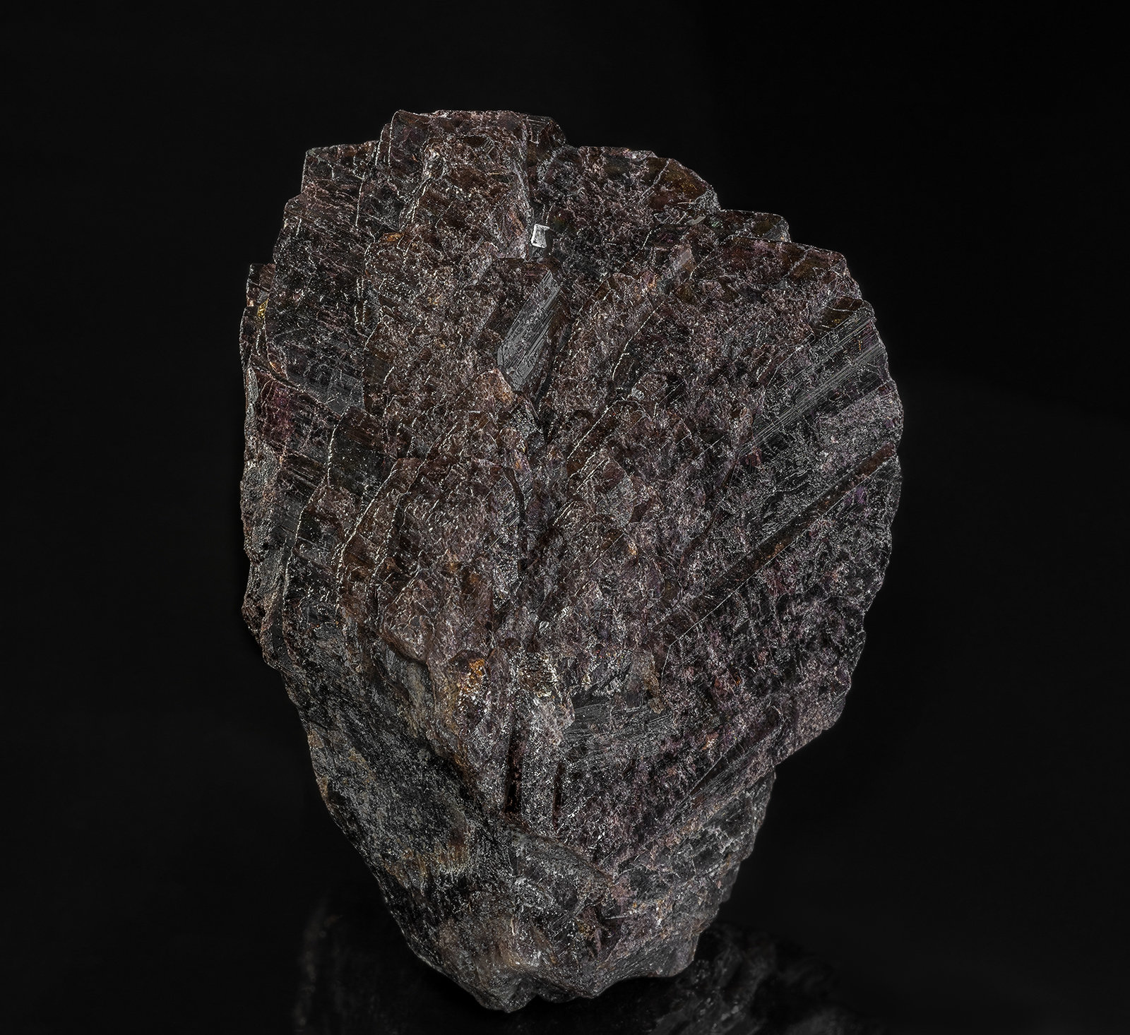 Axinite-(Fe)
5.8 x 4.3 cm
(Autor: am mizunaka)