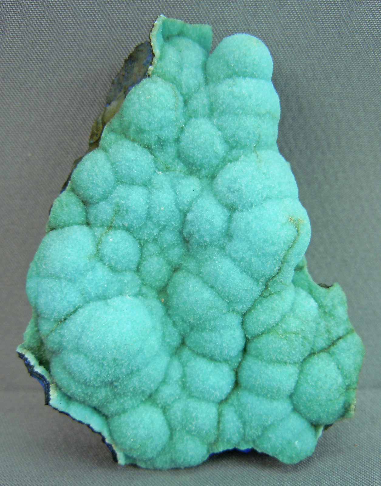 Chalcoalumite
6.3cm x 5.0cm
(Autor: rweaver)