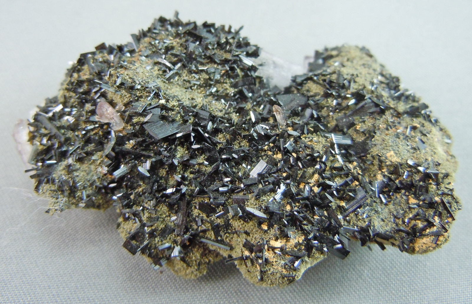 Manganbabingtonite
5.0cm x 3.0cm
(Autor: rweaver)