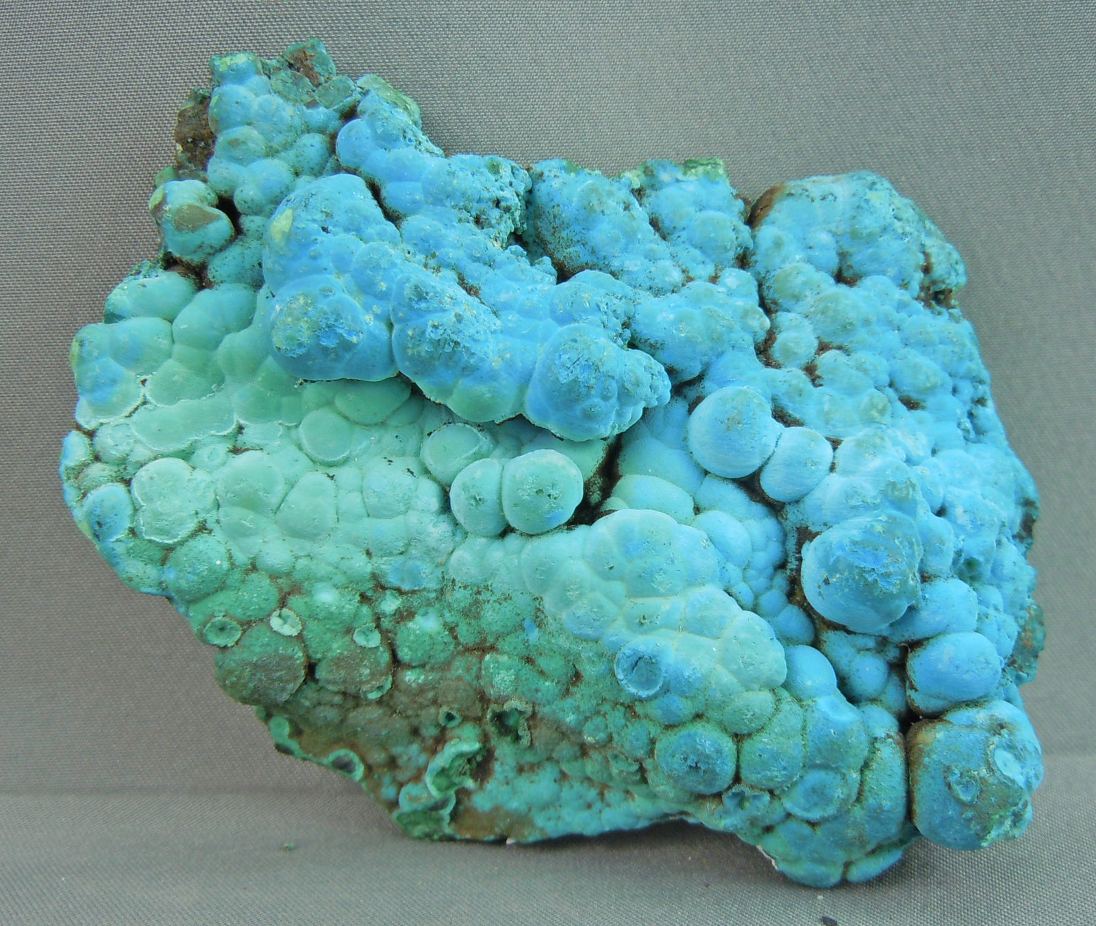Spertiniite
8.0cm x 6.5cm
(Autor: rweaver)