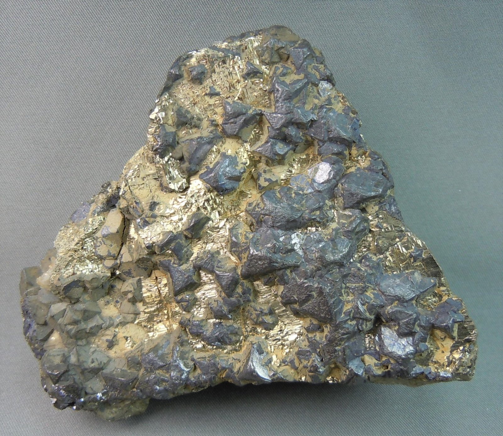 Galena on Pyrite
8.5cm x 6.0cm
(Autor: rweaver)
