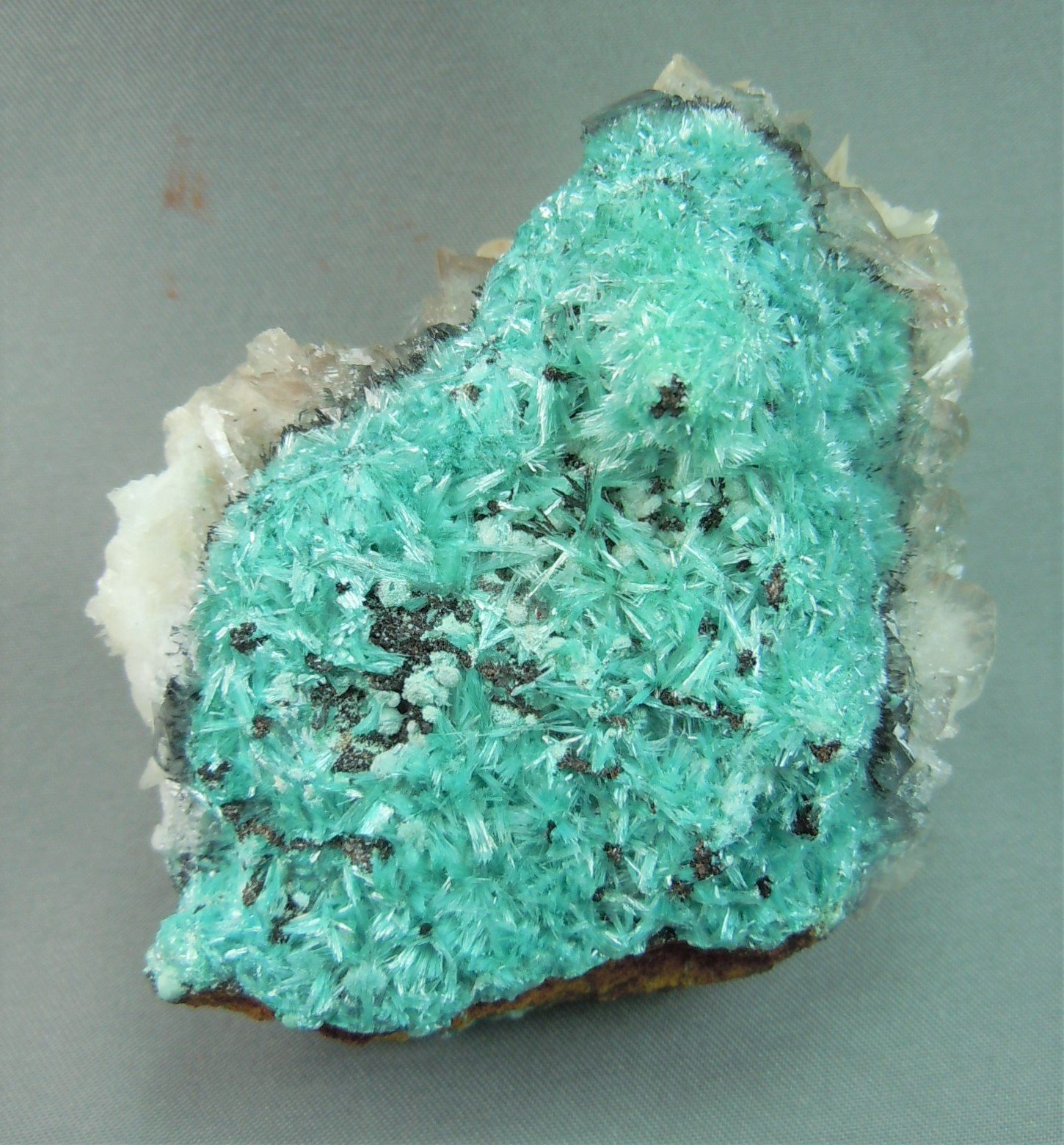 Aurichalcite and Calcite
6.5cm x 5.5cm
(Autor: rweaver)