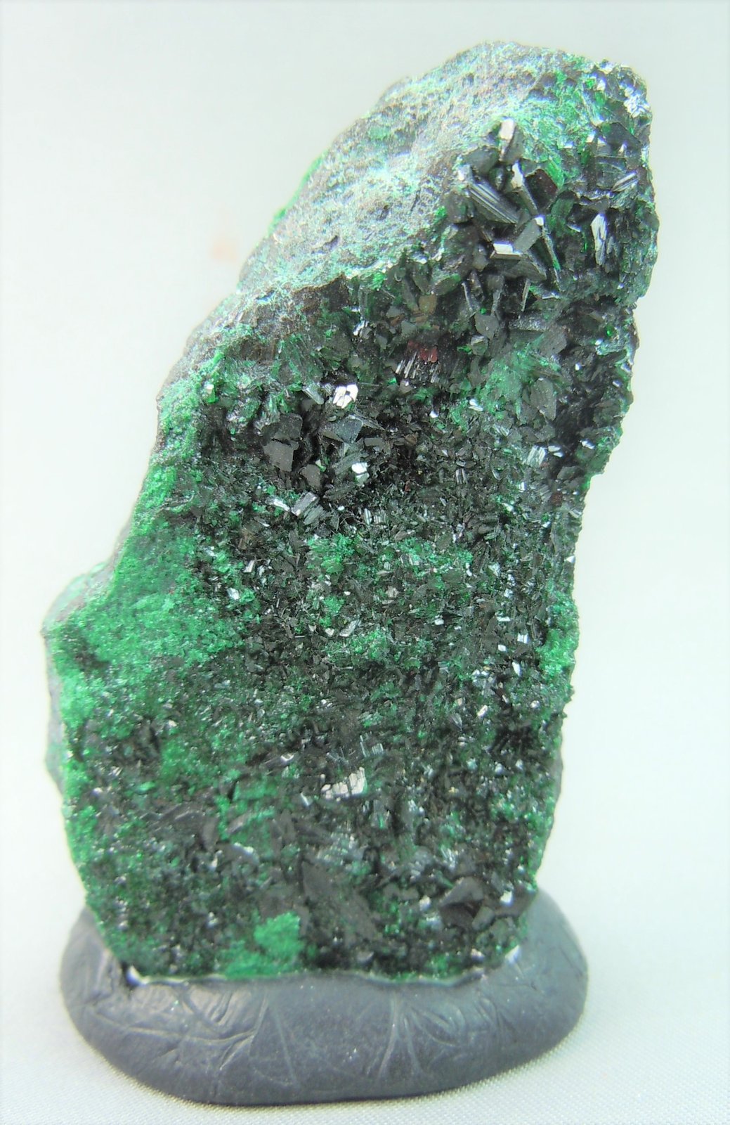 Antlerite
6.0cm x 3.5cm
(Autor: rweaver)