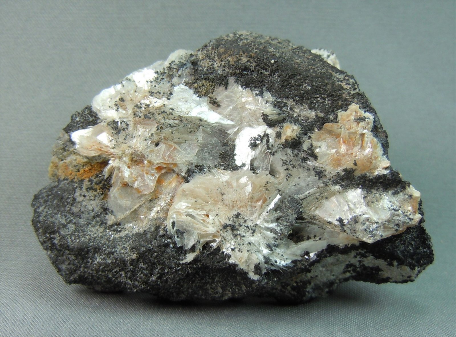 Leadhillite and Cerussite
5.0cm x 4.1cm
(Autor: rweaver)